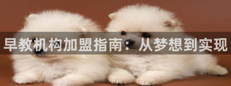 恒行娱乐5ll533主管优雅：早教机构加盟指南：从梦想到实现