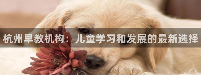 恒行2下74OOO5：杭州早教机构：儿童学习和发展的最新选择