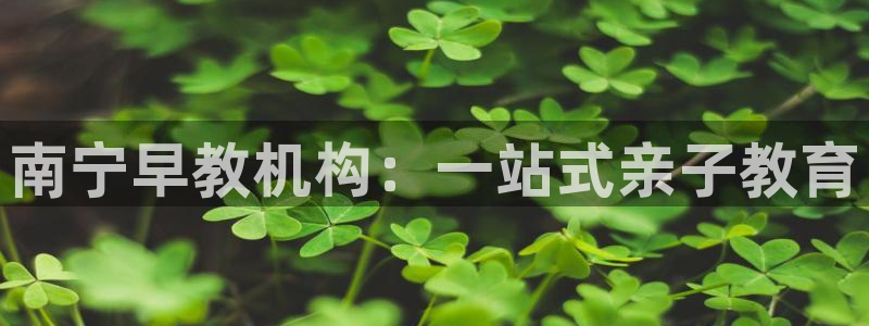恒行2下74OO5：南宁早教机构：一站式亲子教育