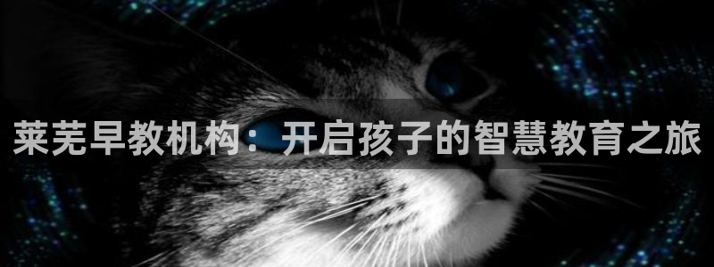 恒行2沈74OOO5：莱芜早教机构：开启孩子的智慧教育之旅