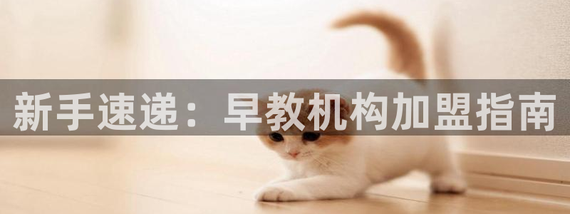 恒行主管6ll5l指定：新手速递：早教机构加盟指南