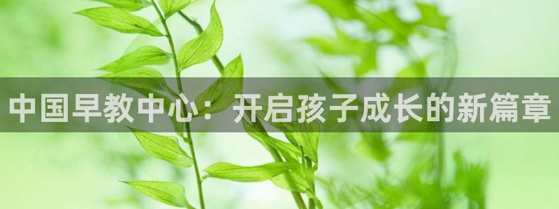 恒行主管6ll5l指定：中国早教中心：开启孩子成长的新篇章