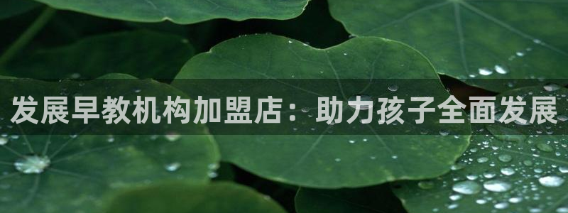 恒行彩票亏5千：发展早教机构加盟店：助力孩子全面发展