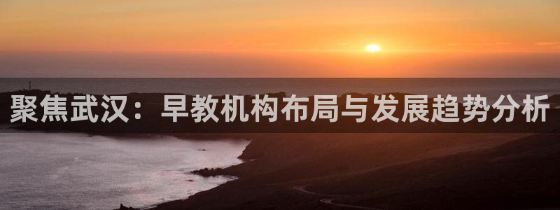 恒行娱乐河沂74ooo5程：聚焦武汉：早教机构布局与发展趋势分析