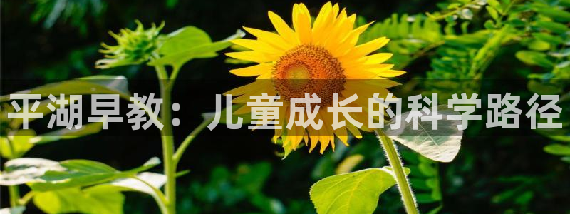 恒行2乃5O6917：平湖早教：儿童成长的科学路径