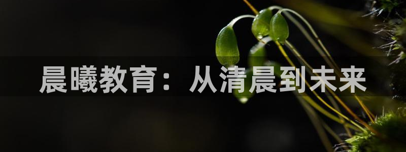 恒行娱乐登录信用 74ooo5：晨曦教育：从清晨到未来