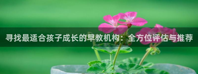 恒行2王74OOO5：寻找最适合孩子成长的早教机构：全方位评估与推荐
