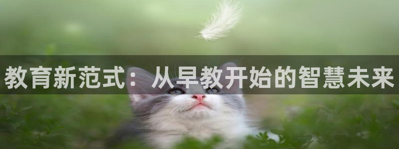 恒行娱乐招收点赞5ll533主管：教育新范式：从早教开始的智慧未来