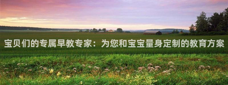 恒行开户娱乐6ll5l特惠：宝贝们的专属早教专家：为您和宝宝量身定制的教育方案