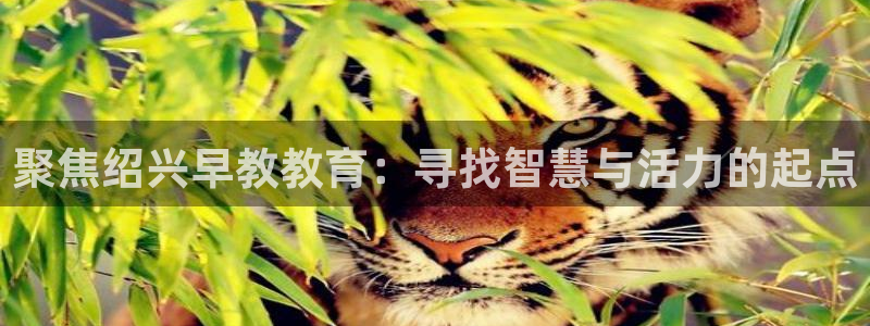 恒行2冯74OOO5：聚焦绍兴早教教育：寻找智慧与活力的起点