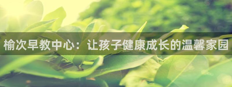 恒行主管总代6ll5l周至：榆次早教中心：让孩子健康成长的温馨家园