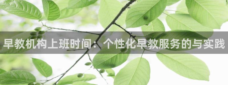 恒行2地74OOO5：早教机构上班时间：个性化早教服务的与实践