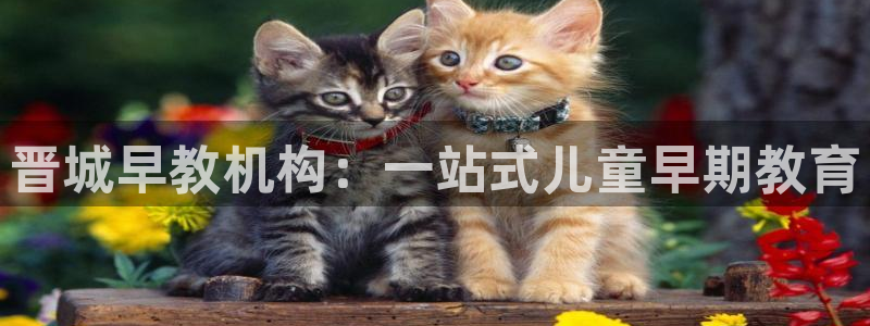 恒行娱乐卫74OOO5：晋城早教机构：一站式儿童早期教育