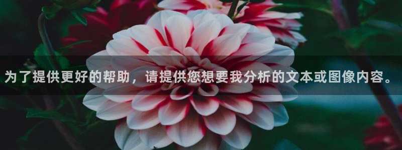 恒行娱乐芍皇74ooo5蛹：为了提供更好的帮助，请提供您想要我分析的文本或图像内