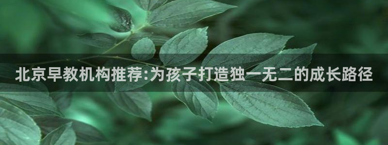 恒行登录老大6ll5l典型：北京早教机构推荐:为孩子打造独一无二的成长路径