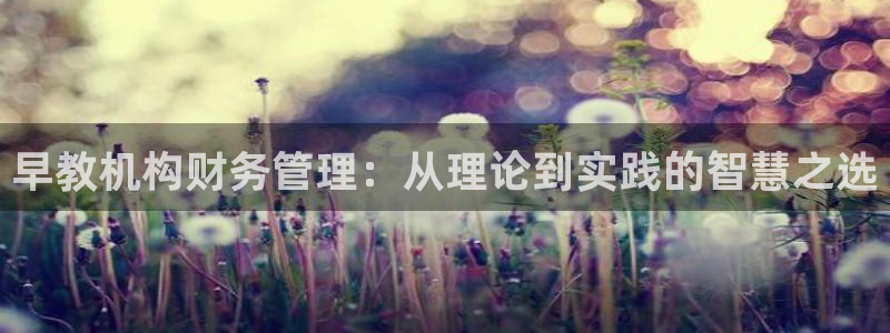 恒行2褚74OOO5：早教机构财务管理：从理论到实践的智慧之选