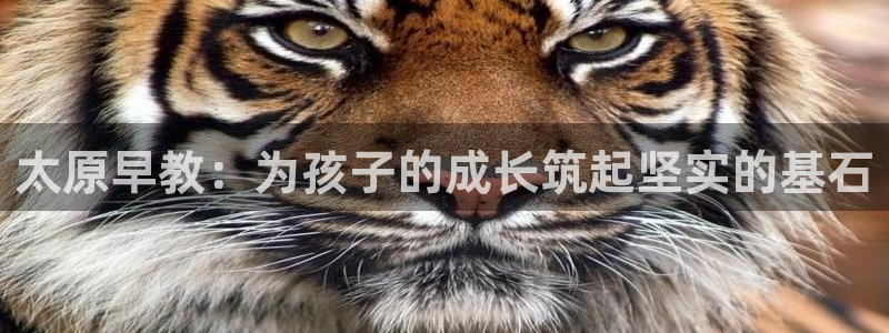 恒行开户全2O5o5O：太原早教：为孩子的成长筑起坚实的基石
