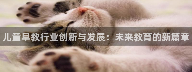 恒行2韩74OOO5:儿童早教行业创新与发展:未来教育的新篇章