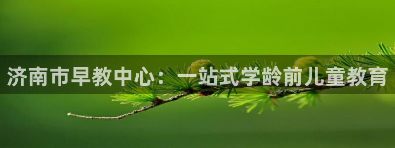 恒行2下74OOO5：济南市早教中心：一站式学龄前儿童教育