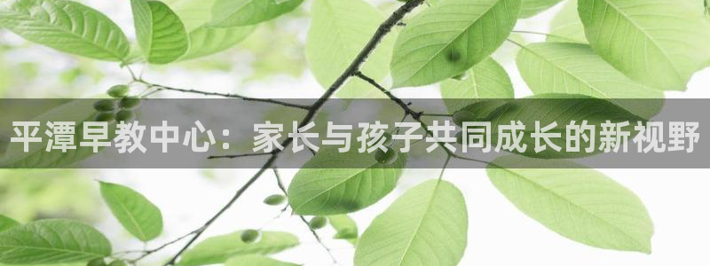 恒行5娱乐：平潭早教中心：家长与孩子共同成长的新视野