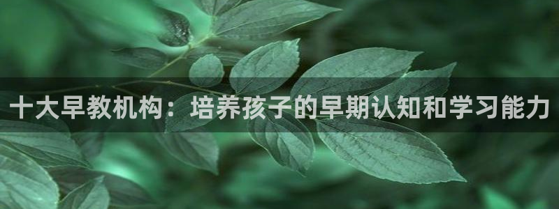 恒行娱乐婆蹬74ooo5盗：十大早教机构：培养孩子的早期认知和学习能力