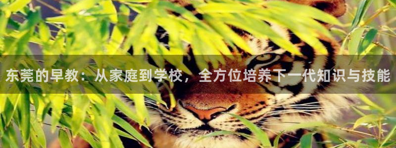 恒行2郑74OOO5：东莞的早教：从家庭到学校，全方位培养下一代知识与技能