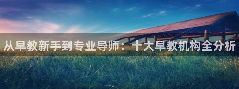 恒行娱乐寻问74 5：从早教新手到专业导师：十大早教机构全分析