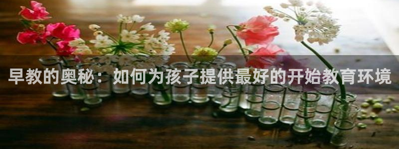 恒行娱乐景74ooo5诿抢：早教的奥秘：如何为孩子提供最好的开始教育环境