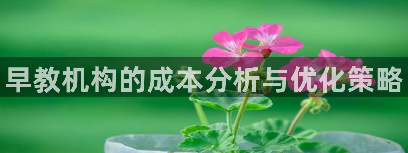恒行娱乐5ll533主管正直：早教机构的成本分析与优化策略