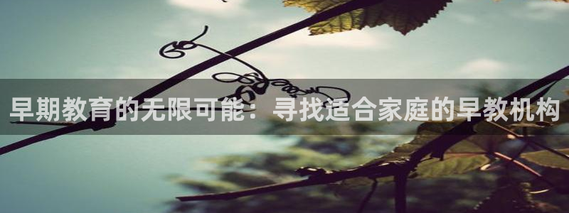 恒行2那74OO5：早期教育的无限可能：寻找适合家庭的早教机构