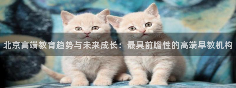 恒行代理总代主导 6ll5l：北京高端教育趋势与未来成长：最具前瞻性的高端早教机