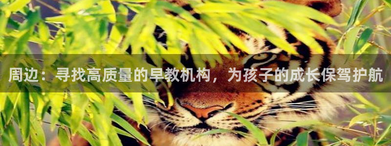 恒行娱乐景74ooo5诿抢：周边：寻找高质量的早教机构，为孩子的成长保驾护航