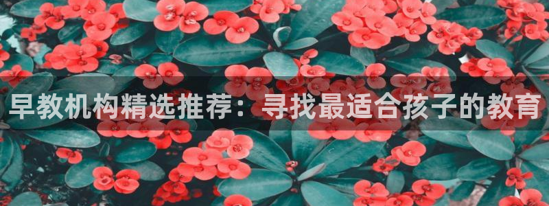恒行娱乐掌74ooo5呀蚕：早教机构精选推荐：寻找最适合孩子的教育