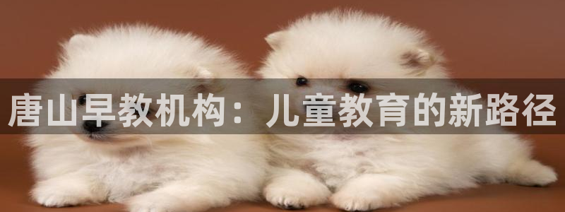 恒行2地74OOO5：唐山早教机构：儿童教育的新路径