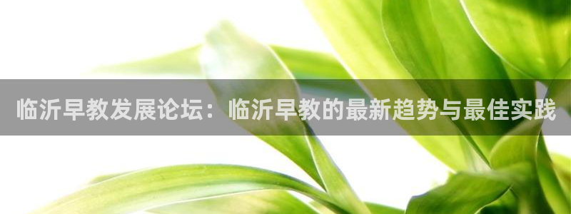 恒行2下74OO5：临沂早教发展论坛：临沂早教的最新趋势与最佳实践