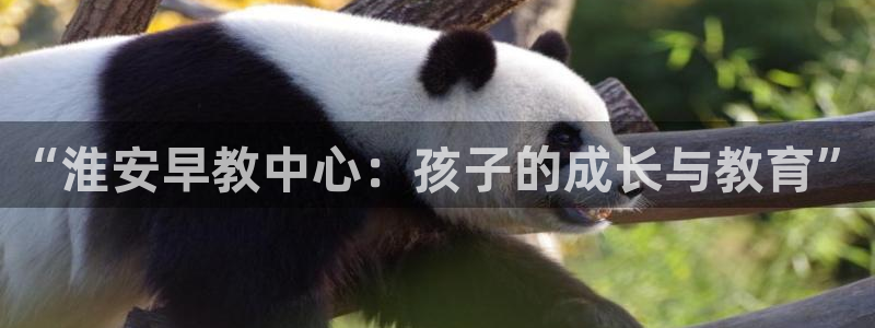 恒行2许74OOO5：“淮安早教中心：孩子的成长与教育”