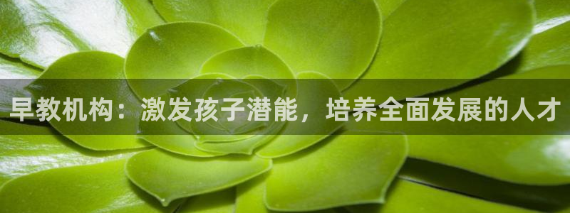 恒行2沈74OOO5：早教机构：激发孩子潜能，培养全面发展的人才