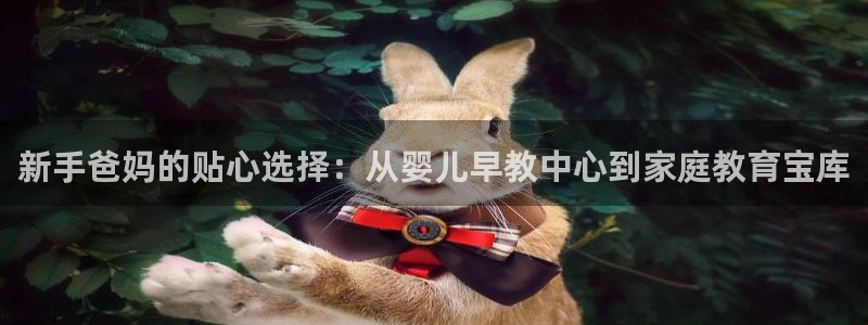 恒行2褚74OOO5：新手爸妈的贴心选择：从婴儿早教中心到家庭教育宝库