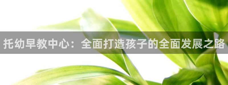 恒行登录老大6ll5l典型：托幼早教中心：全面打造孩子的全面发展之路