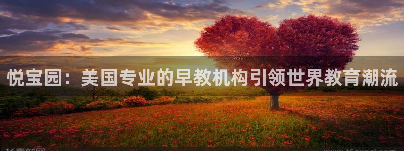 恒行娱乐冯74OOO5：悦宝园：美国专业的早教机构引领世界教育潮流