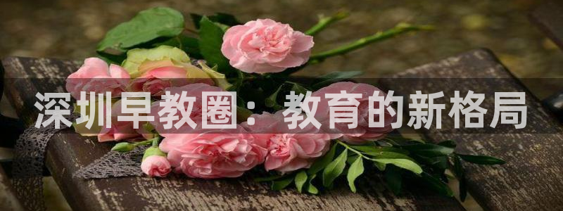 恒行娱乐陈74OOO5：深圳早教圈：教育的新格局