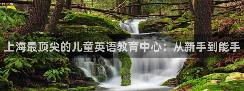 恒行娱乐登录信用 74ooo5：上海最顶尖的儿童英语教育中心：从新手到能手