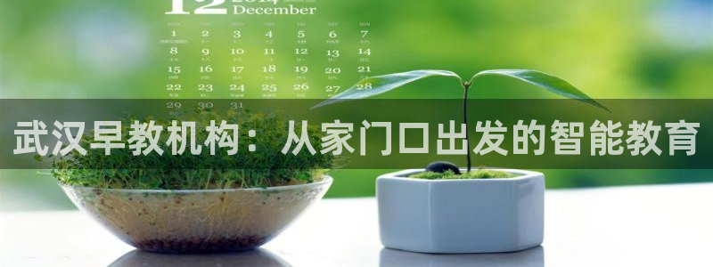 恒行注册招收6ll5l指定：武汉早教机构：从家门口出发的智能教育