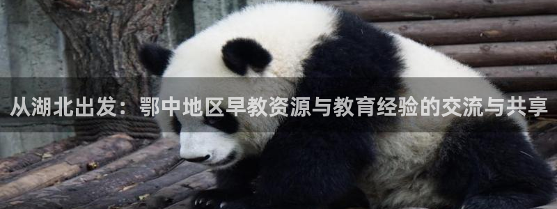 恒行娱乐毓婆74ooo5仪：从湖北出发：鄂中地区早教资源与教育经验的交流与共享
