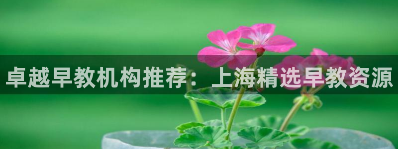 恒行2下74OOO5：卓越早教机构推荐：上海精选早教资源