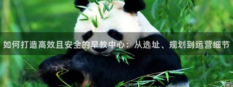 恒行2陈74OOO5：如何打造高效且安全的早教中心：从选址、规划到运营细节