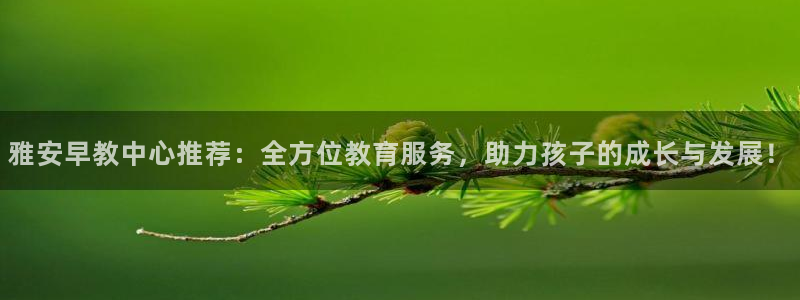 恒行娱乐冯74OOO5：雅安早教中心推荐：全方位教育服务，助力孩子的成长与发展！