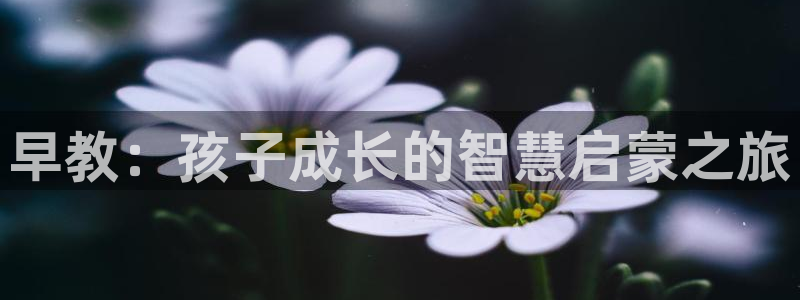 恒行娱乐冯74OOO5：早教：孩子成长的智慧启蒙之旅