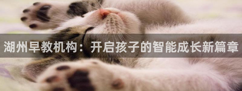 恒行2尤74OOO5：湖州早教机构：开启孩子的智能成长新篇章