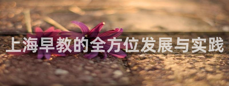 恒行2吕74OOO5：上海早教的全方位发展与实践
